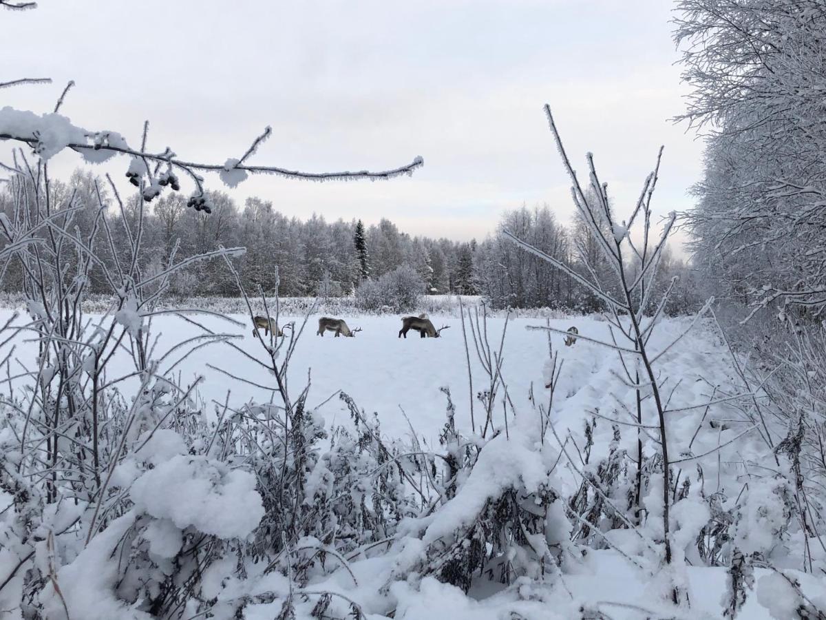 Villa Sandra Rovaniemi Esterno foto